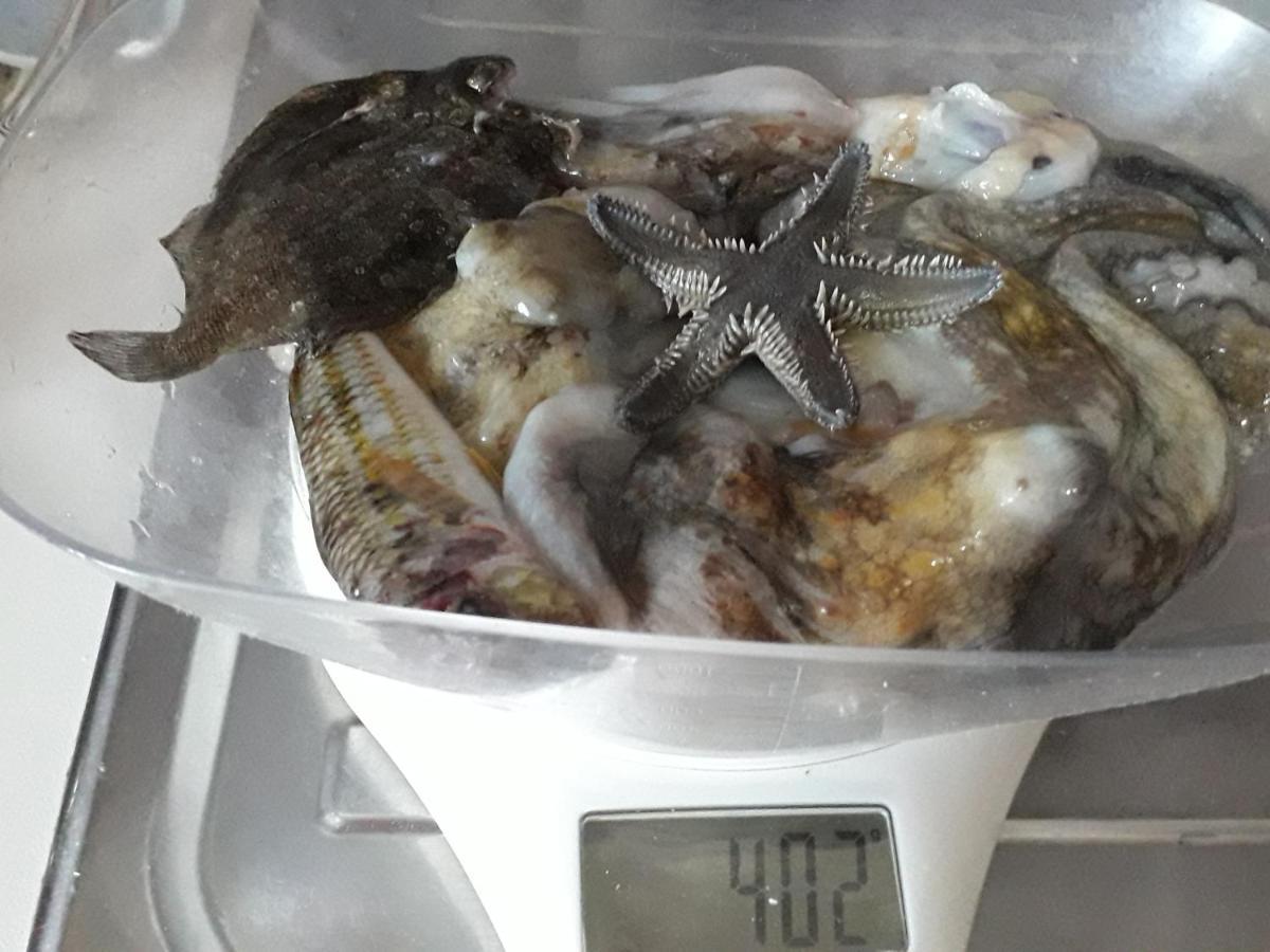 Residenceu Zu Gnaziu Pachino Esterno foto
